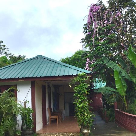 D View Hill Hotel Kuala Tahan Exterior photo