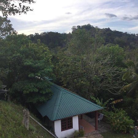 D View Hill Hotel Kuala Tahan Exterior photo