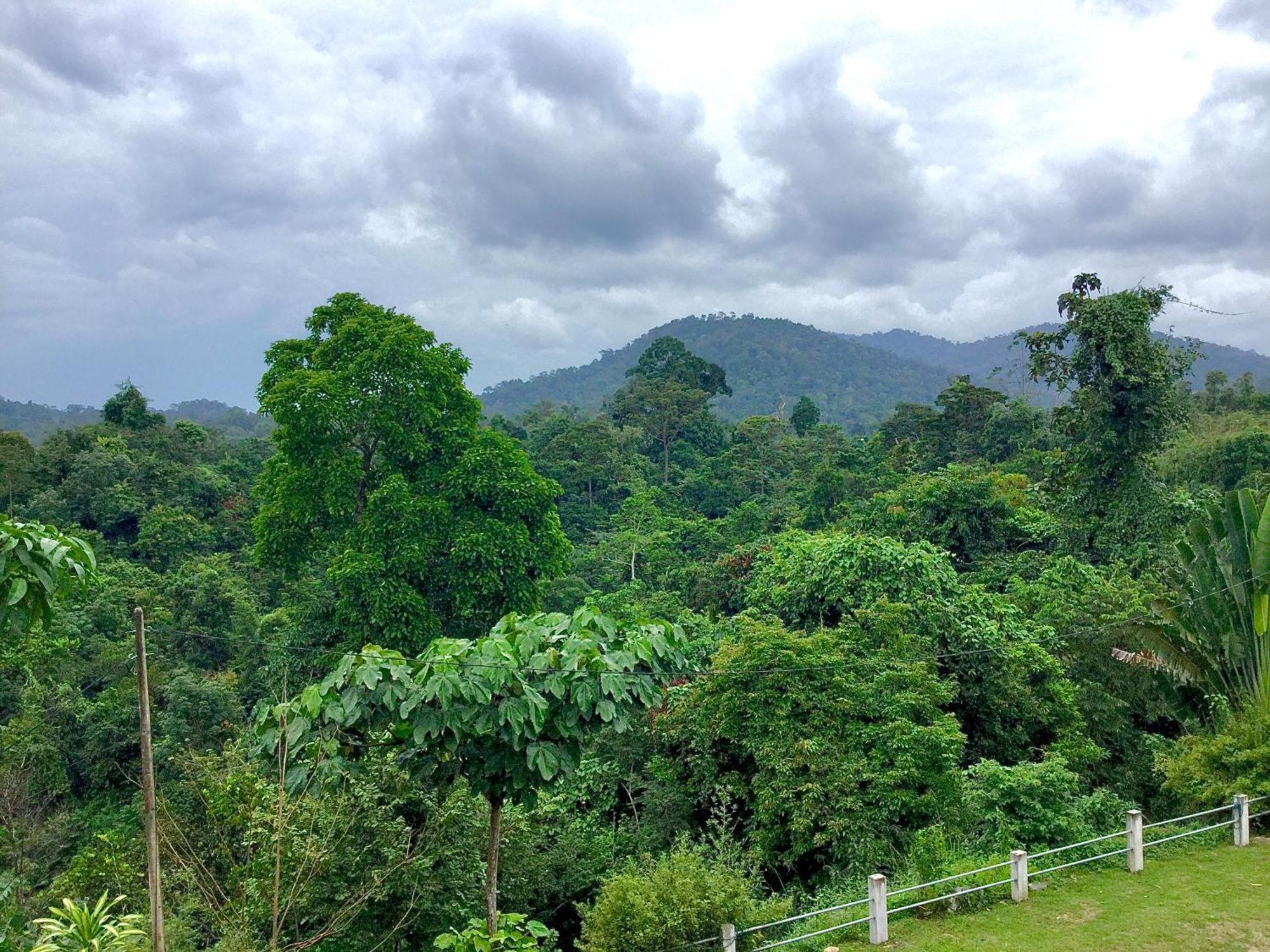 D View Hill Hotel Kuala Tahan Exterior photo