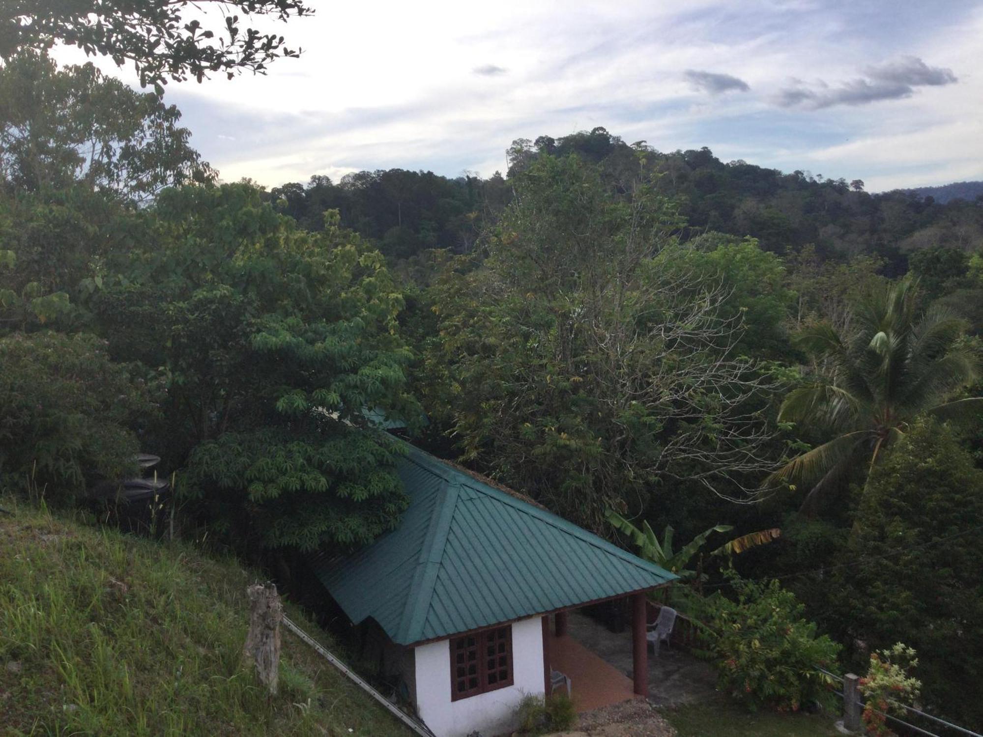 D View Hill Hotel Kuala Tahan Exterior photo